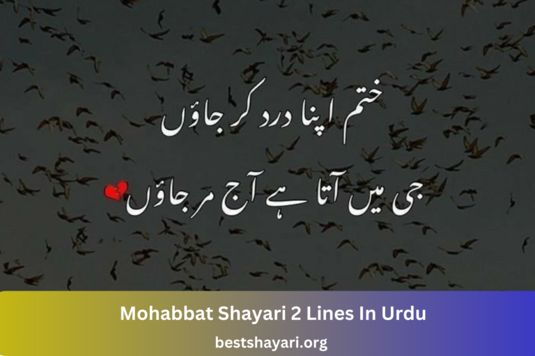 Mohabbat Shayari 2 Lines In Urdu