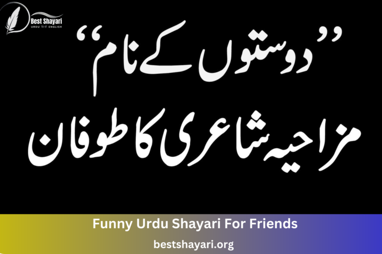 Funny Urdu Shayari For Friends