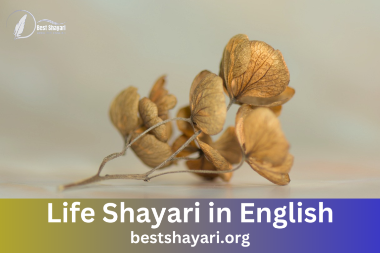 Life Shayari in English