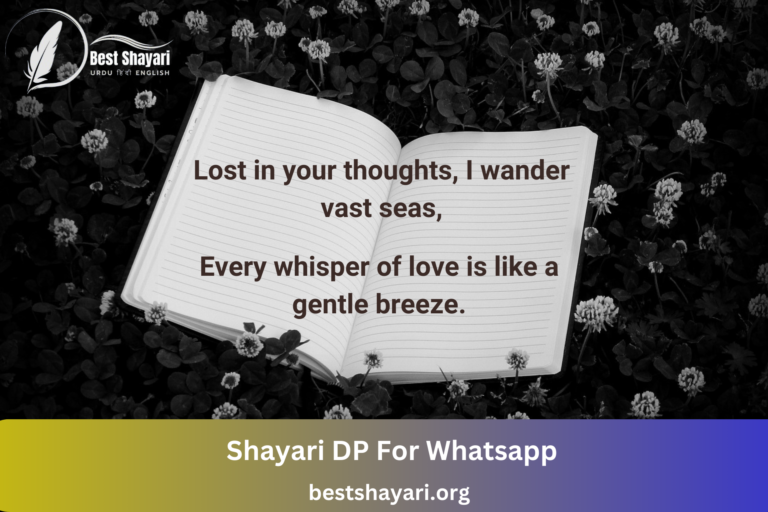 Shayari DP For Whatsapp