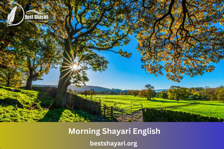 Morning Shayari English