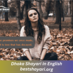 Dhoka Shayari In English