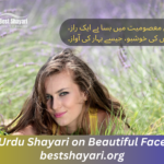 Urdu Shayari on Beautiful Face