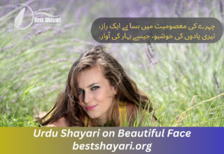 Urdu Shayari on Beautiful Face