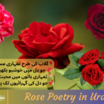 Rose Poetry in Urdu