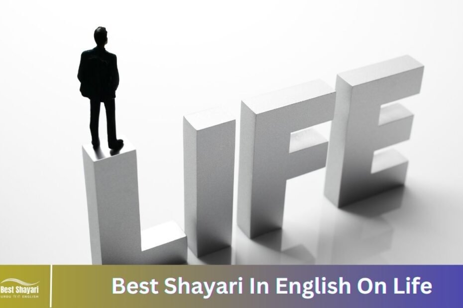 Best Shayari In English On Life