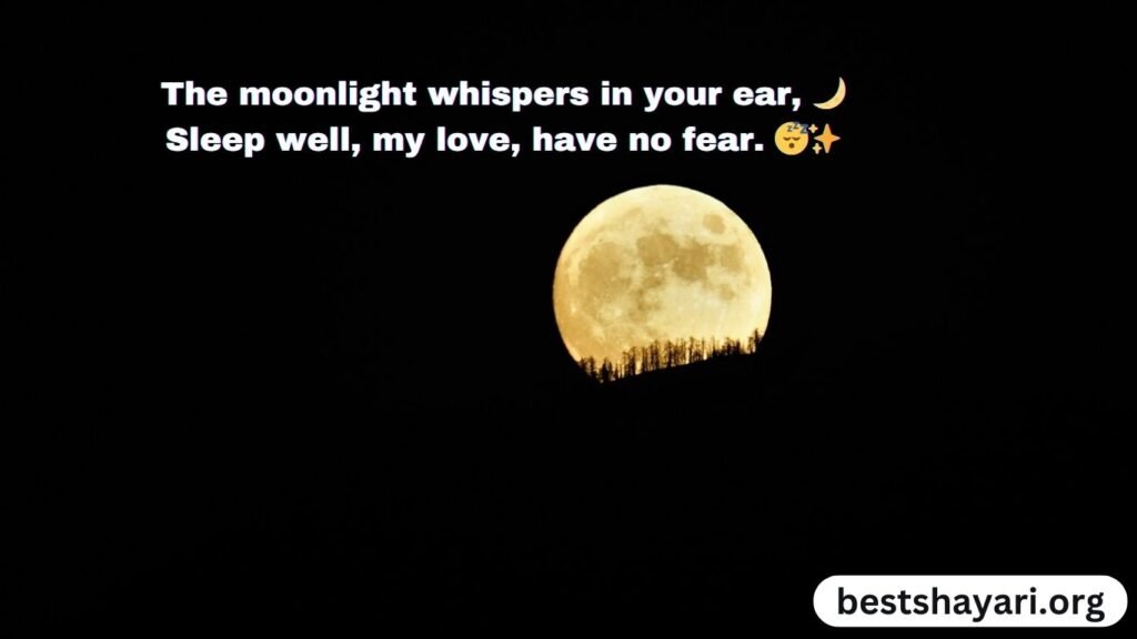 Famous Shayari for Good Night