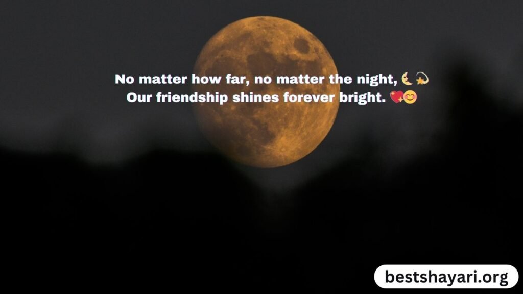 Friendship Good Night Shayari