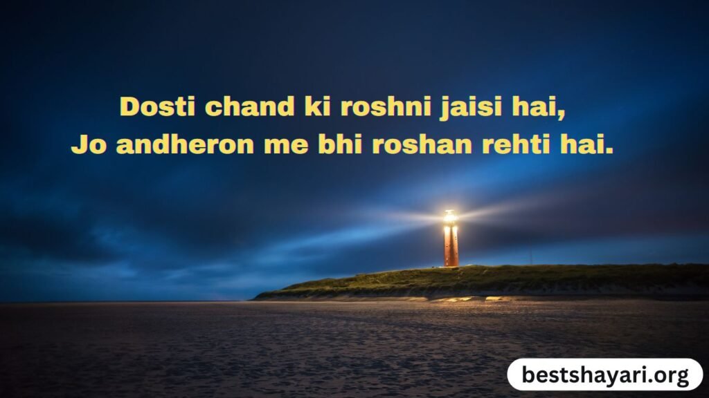 Friendship Good Night Shayari