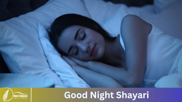 Good Night Shayari