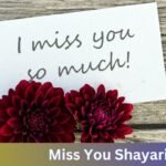 Miss You Shayari