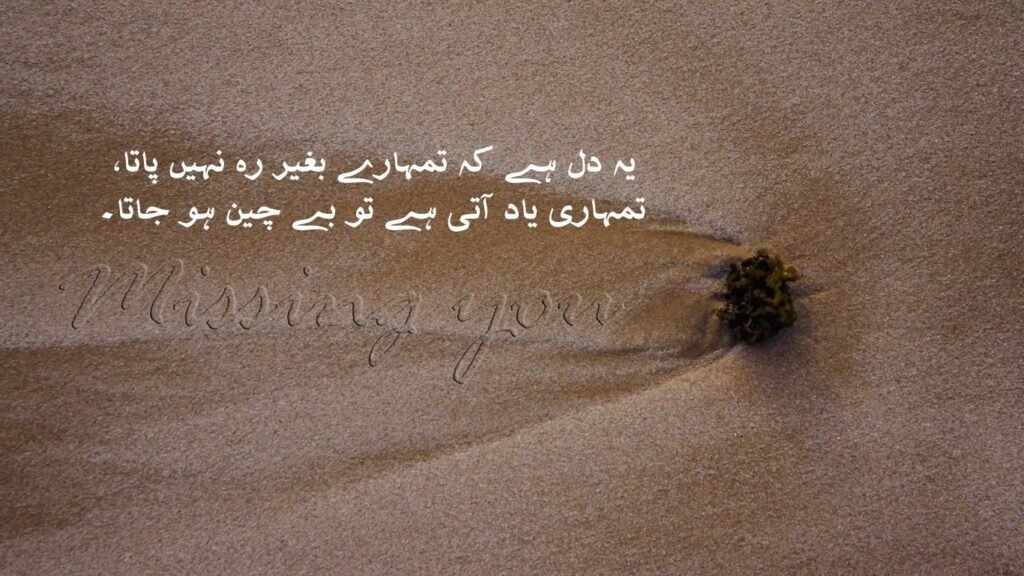 Poetic Miss You Shayari