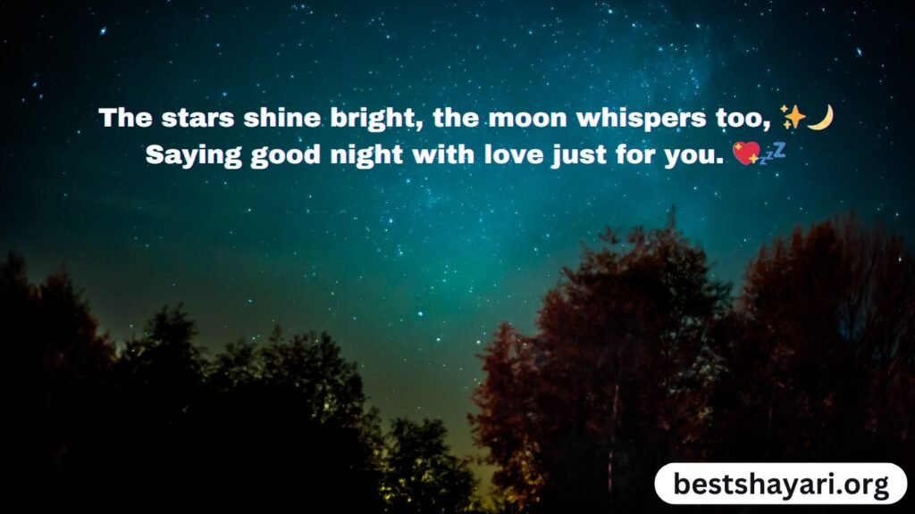 Romantic Good Night Shayari