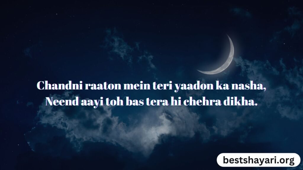 Romantic Good Night Shayari