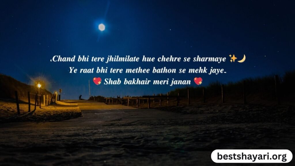 Romantic Good Night Shayari in Urdu