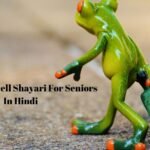 Funny Farewell Shayari For Seniors In Hindi​